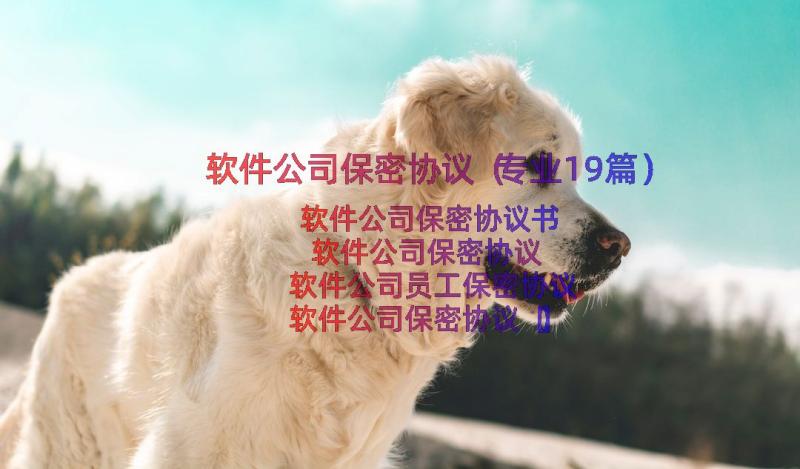 软件公司保密协议（专业19篇）