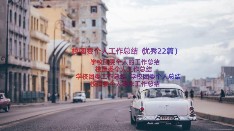 校团委个人工作总结（优秀22篇）