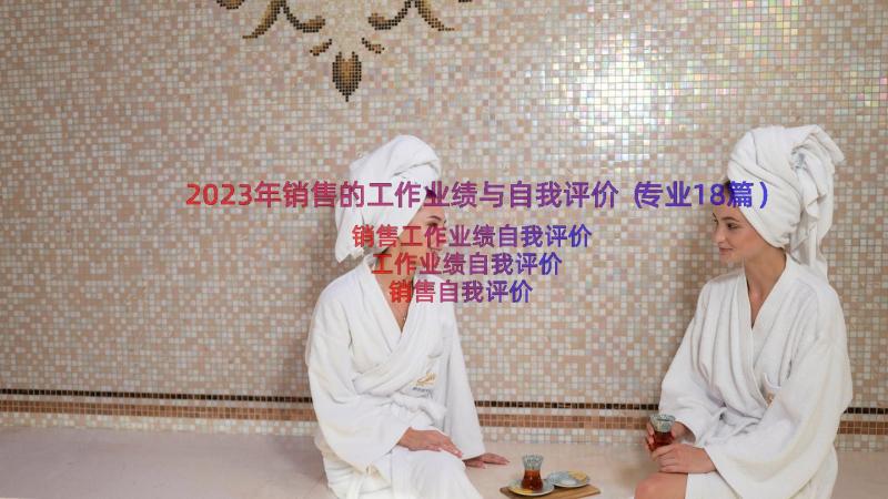 2023年销售的工作业绩与自我评价（专业18篇）