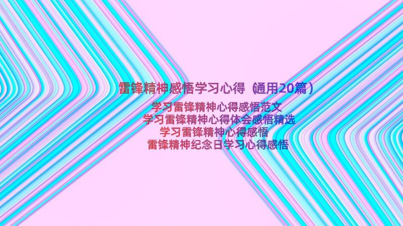 雷锋精神感悟学习心得（通用20篇）