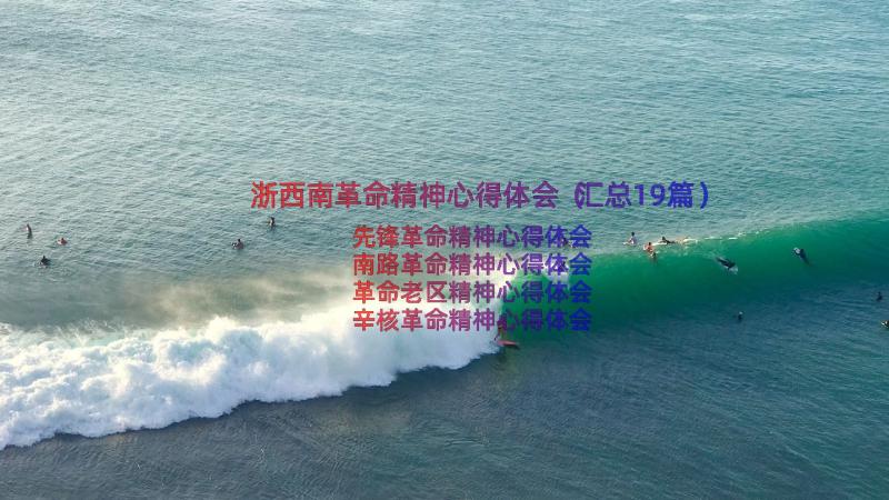 浙西南革命精神心得体会（汇总19篇）