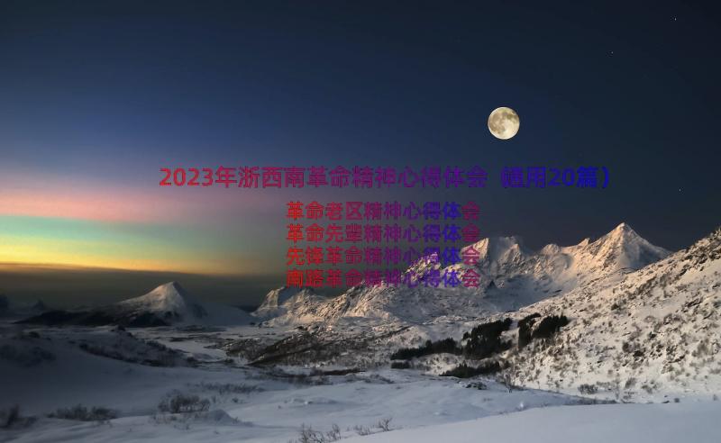 2023年浙西南革命精神心得体会（通用20篇）