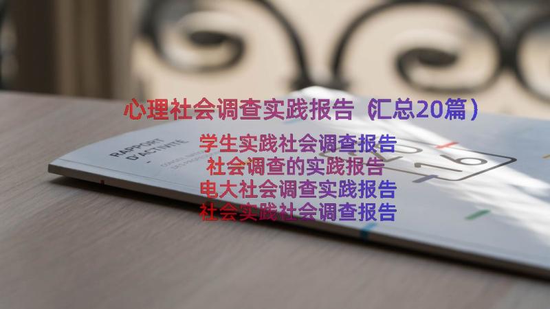 心理社会调查实践报告（汇总20篇）