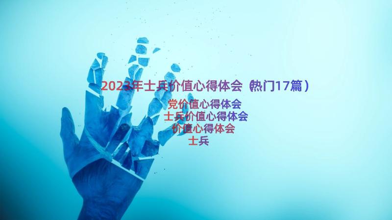 2023年士兵价值心得体会（热门17篇）