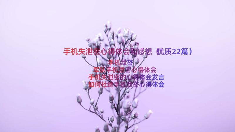 手机失泄密心得体会和感想（优质22篇）