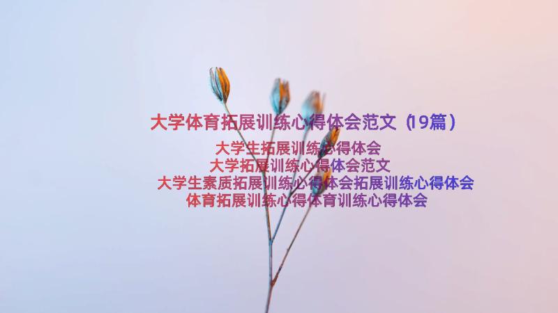 大学体育拓展训练心得体会范文（19篇）