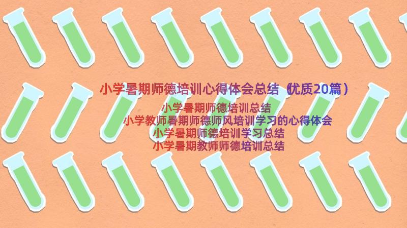 小学暑期师德培训心得体会总结（优质20篇）