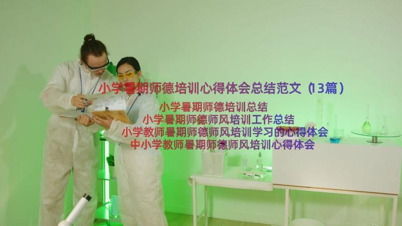 小学暑期师德培训心得体会总结范文（13篇）