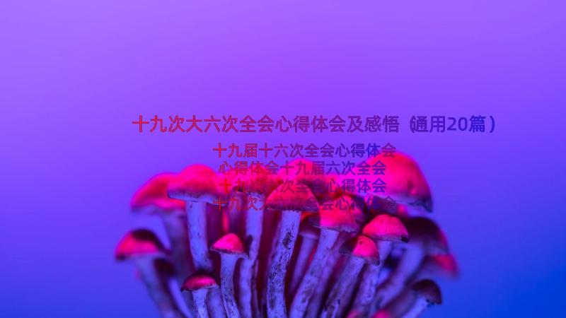 十九次大六次全会心得体会及感悟（通用20篇）