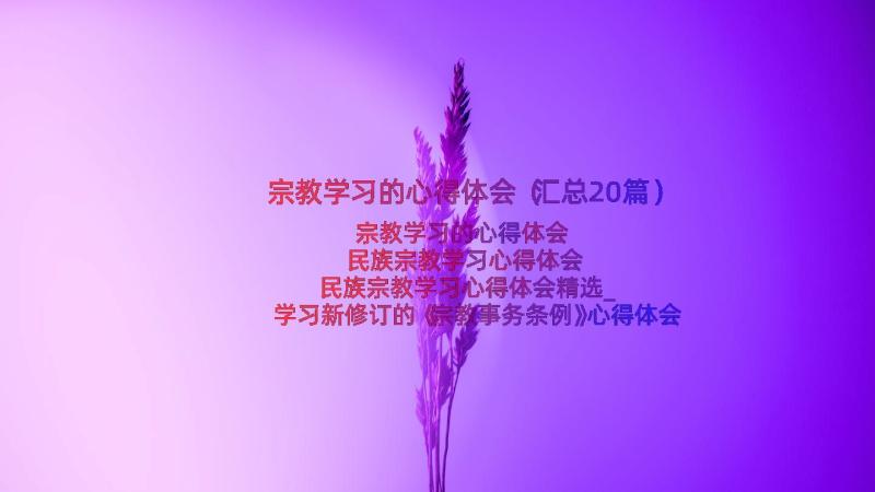 宗教学习的心得体会（汇总20篇）