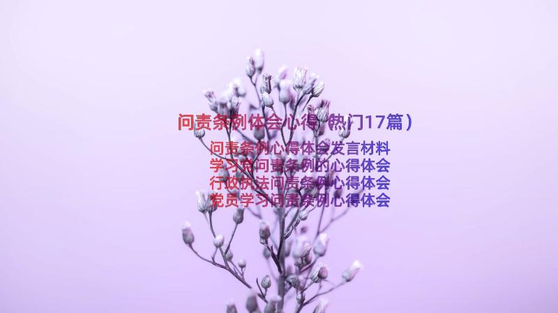 问责条例体会心得（热门17篇）