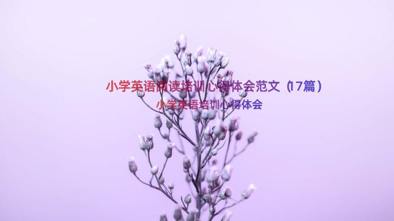 小学英语阅读培训心得体会范文（17篇）