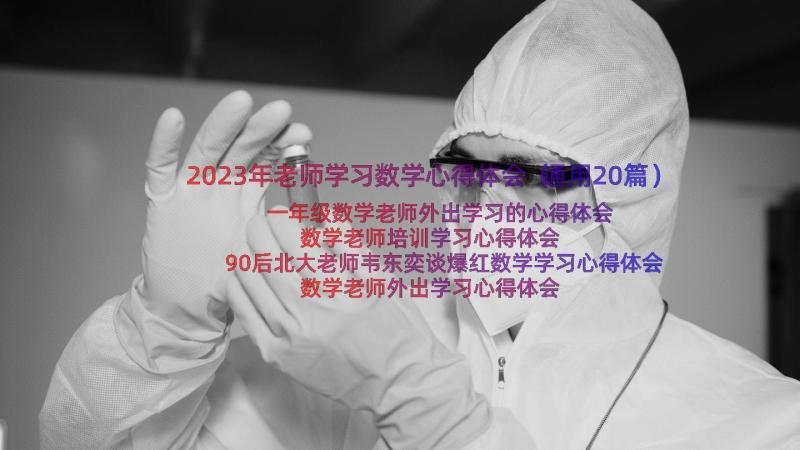 2023年老师学习数学心得体会（通用20篇）