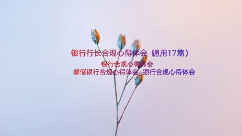 银行行长合规心得体会（通用17篇）