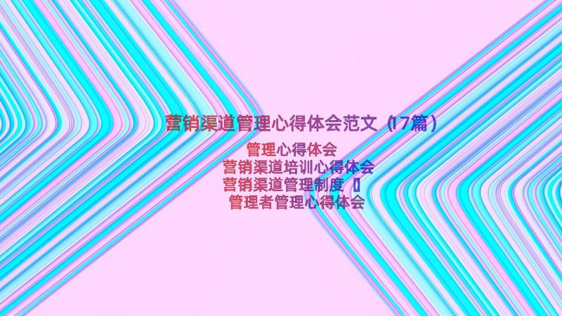 营销渠道管理心得体会范文（17篇）