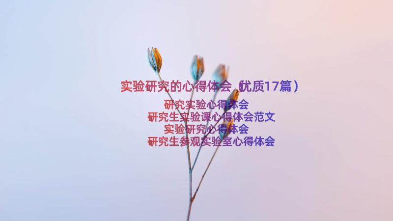 实验研究的心得体会（优质17篇）