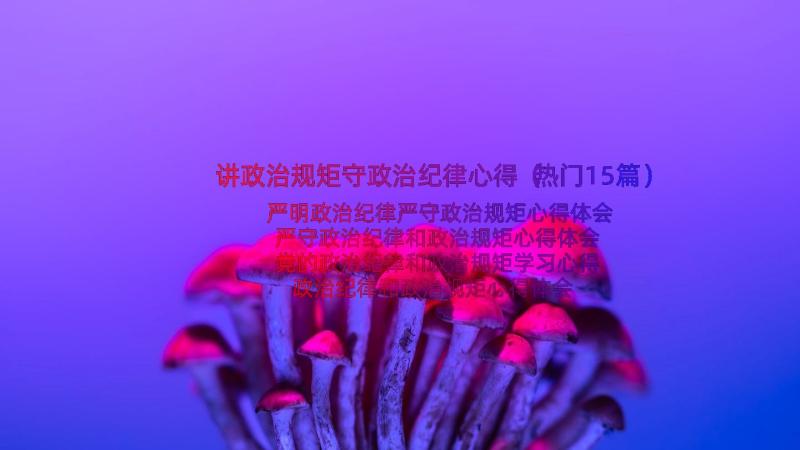 讲政治规矩守政治纪律心得（热门15篇）