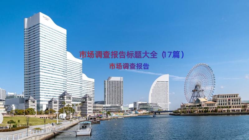 市场调查报告标题大全（17篇）