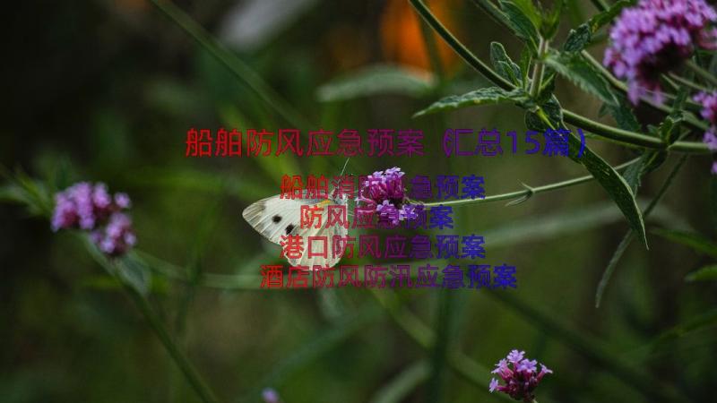 船舶防风应急预案（汇总15篇）