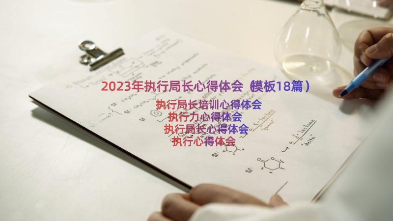 2023年执行局长心得体会（模板18篇）