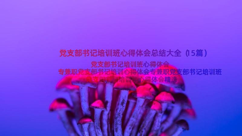 党支部书记培训班心得体会总结大全（15篇）