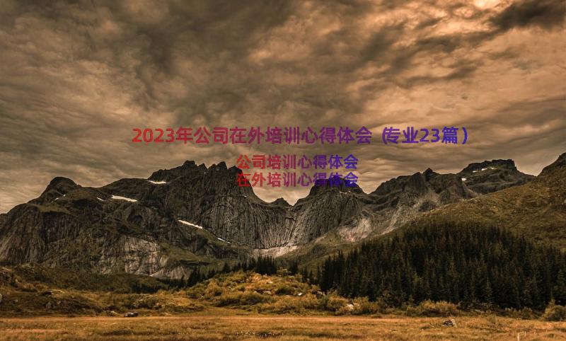 2023年公司在外培训心得体会（专业23篇）