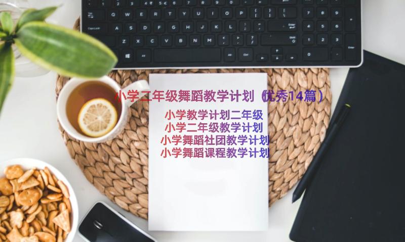 小学二年级舞蹈教学计划（优秀14篇）