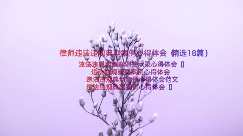 律师违法违规典型案例心得体会（精选18篇）