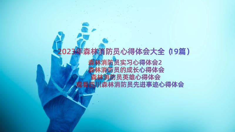 2023年森林消防员心得体会大全（19篇）