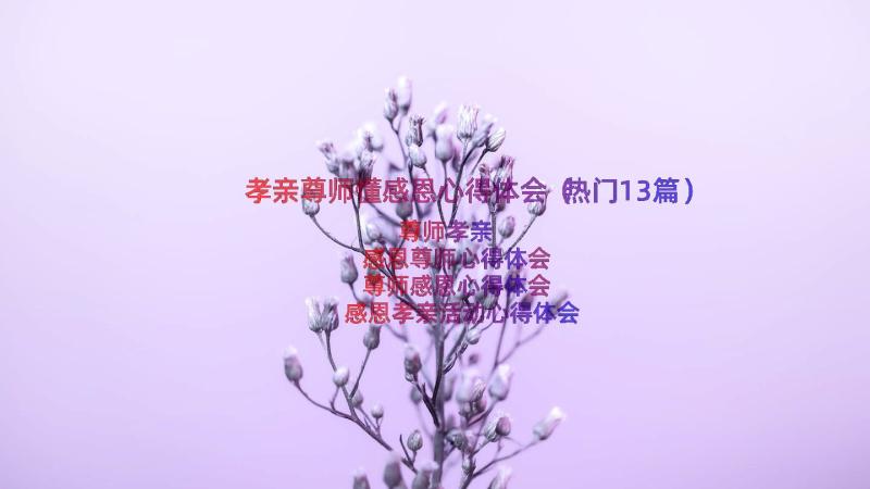 孝亲尊师懂感恩心得体会（热门13篇）