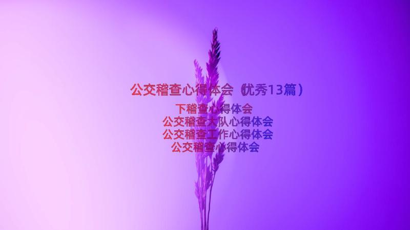 公交稽查心得体会（优秀13篇）