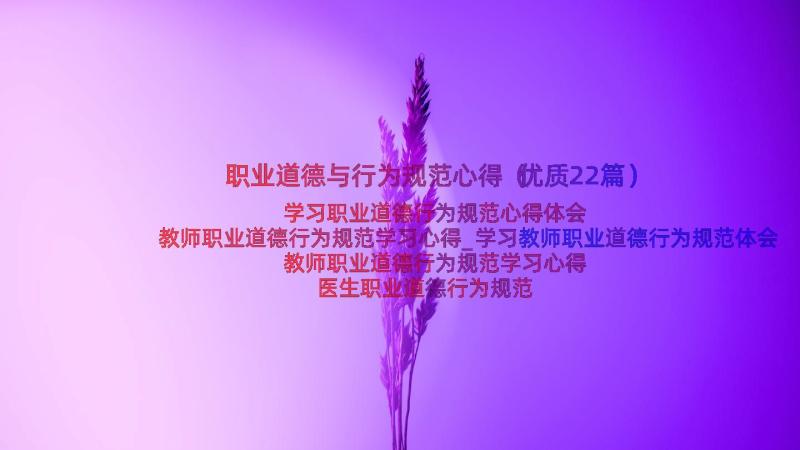 职业道德与行为规范心得（优质22篇）