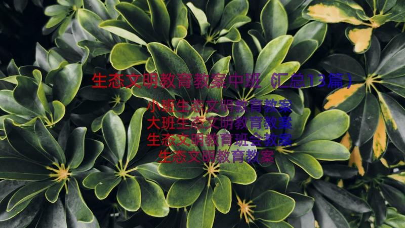 生态文明教育教案中班（汇总13篇）