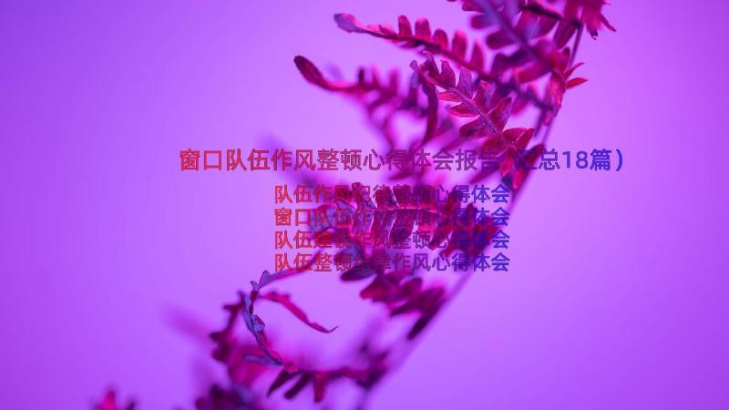 窗口队伍作风整顿心得体会报告（汇总18篇）