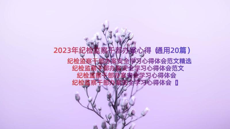 2023年纪检监察干部办案心得（通用20篇）