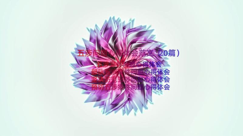 五涉问题心得体会范文（20篇）