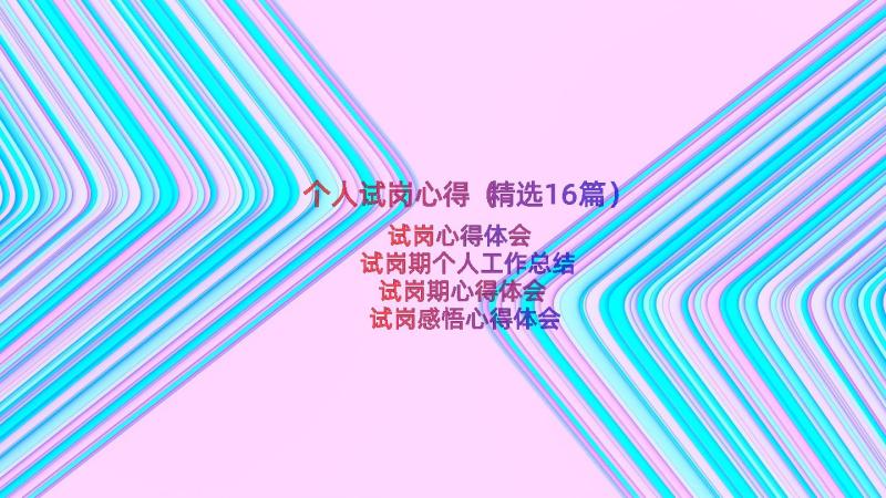 个人试岗心得（精选16篇）