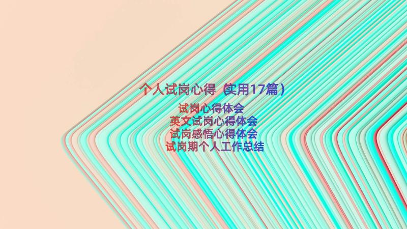 个人试岗心得（实用17篇）