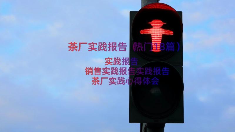 茶厂实践报告（热门18篇）