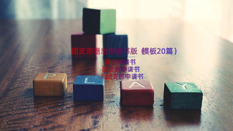 团支部退出申请书版（模板20篇）