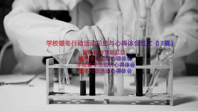 学校暖冬行动活动总结与心得体会范文（17篇）