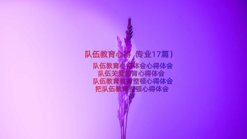 队伍教育心得（专业17篇）