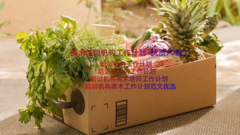 美术培训机构工作计划（优质22篇）