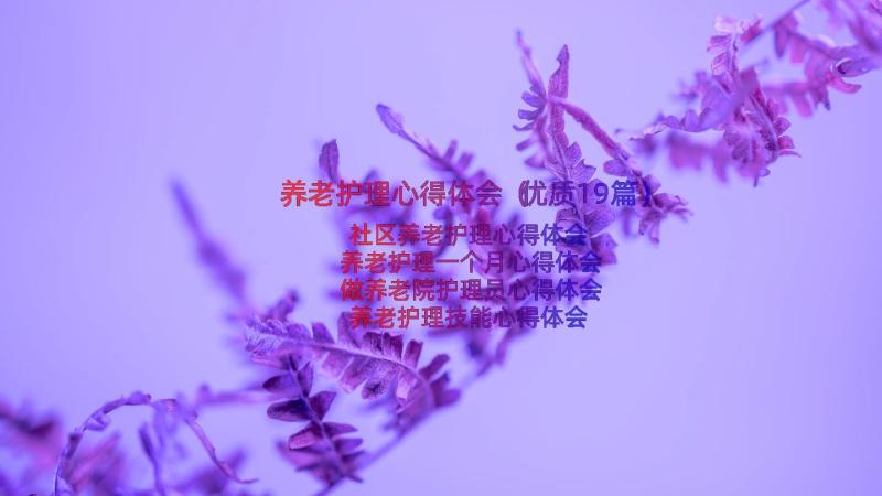 养老护理心得体会（优质19篇）