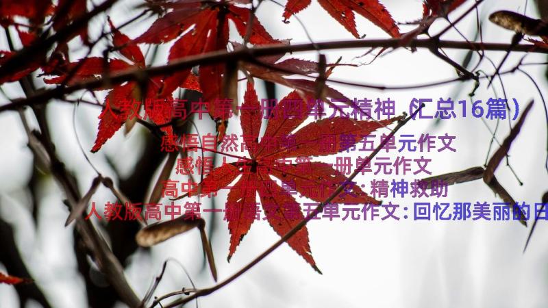 人教版高中第一册四单元精神（汇总16篇）