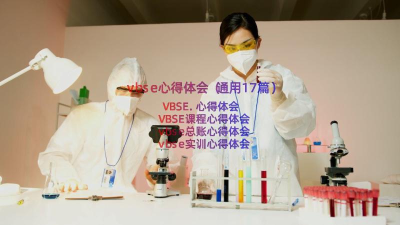 vbse心得体会（通用17篇）