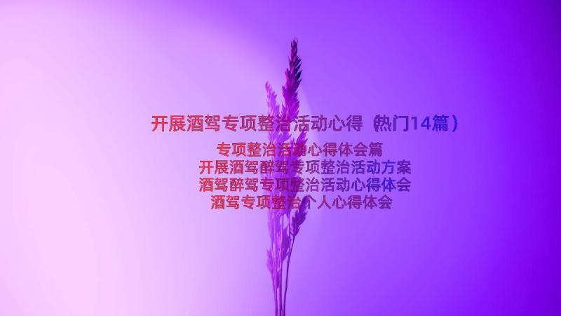 开展酒驾专项整治活动心得（热门14篇）