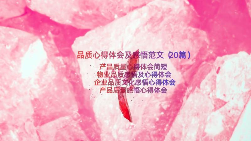 品质心得体会及感悟范文（20篇）