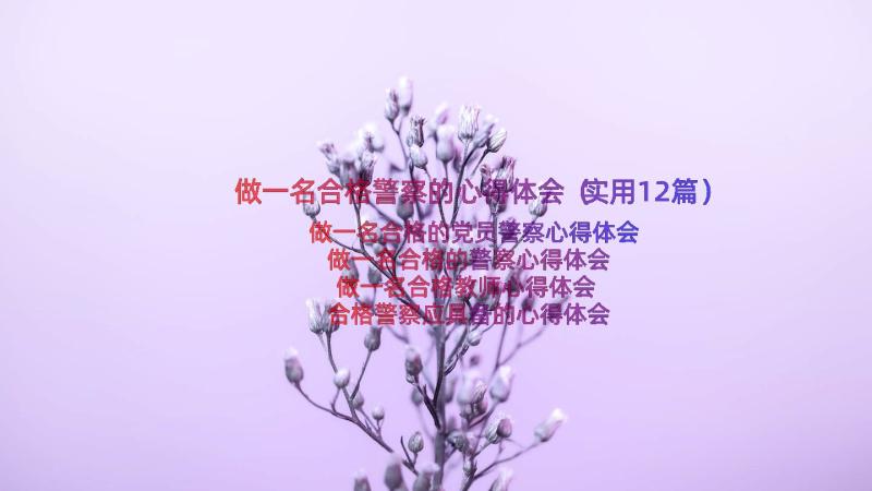 做一名合格警察的心得体会（实用12篇）