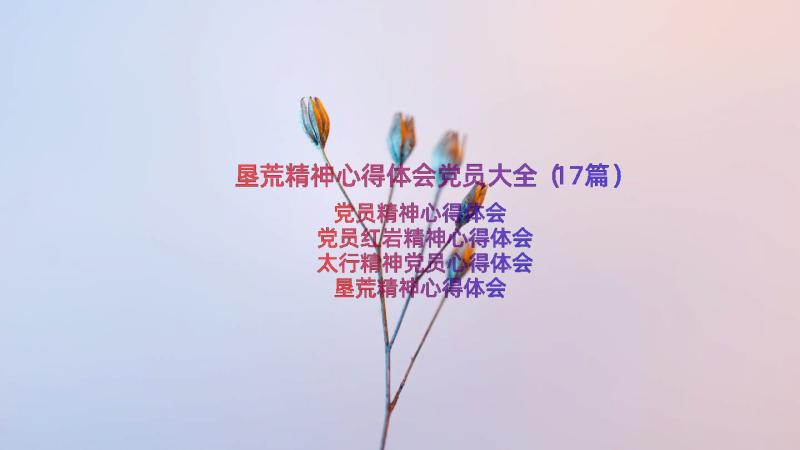 垦荒精神心得体会党员大全（17篇）